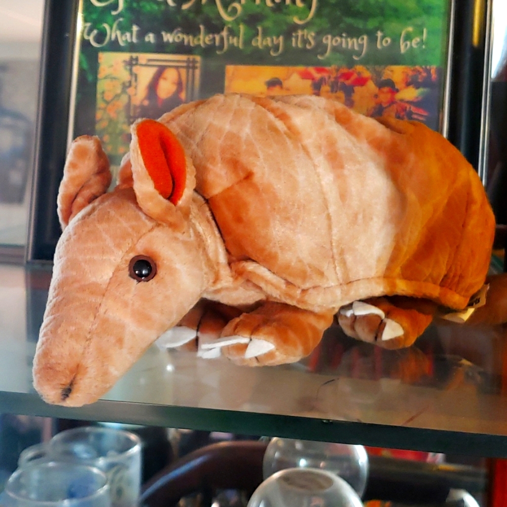 Armadillo